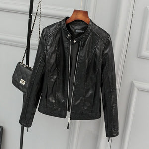 Solid Colored Slim Leather Jacket