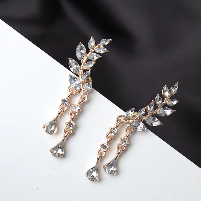 Tassel Elegant Cubic Zirconia Stud Earrings