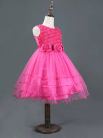 Lace Bow Fuchsia Dress