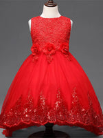 Elegant Rose Mesh Party Dress
