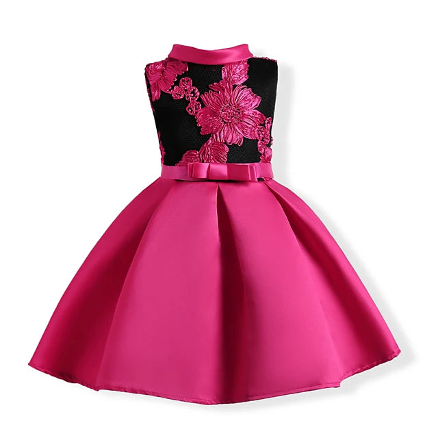 Fuchsia Floral Embroidered Dress