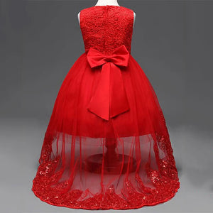 Elegant Rose Mesh Party Dress