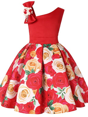 Cute Roses Block Dress