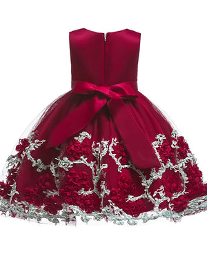 Vintage Colored Lace Dress
